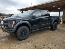 Salvage cars for sale at Tanner, AL auction: 2023 Ford F150 Raptor