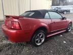 2000 Ford Mustang