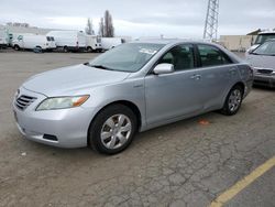 2007 Toyota Camry Hybrid en venta en Hayward, CA