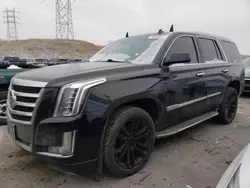 Salvage cars for sale at Littleton, CO auction: 2015 Cadillac Escalade Luxury