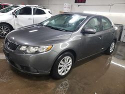 Salvage cars for sale at Elgin, IL auction: 2013 KIA Forte EX