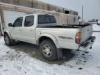 2001 Toyota Tacoma Double Cab