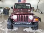 2001 Jeep Wrangler / TJ Sport