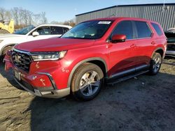 Salvage cars for sale at Spartanburg, SC auction: 2025 Honda Pilot EXL