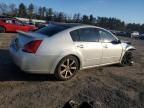 2007 Nissan Maxima SE