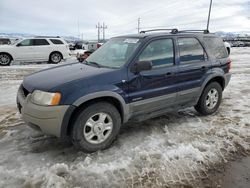 SUV salvage a la venta en subasta: 2002 Ford Escape XLT