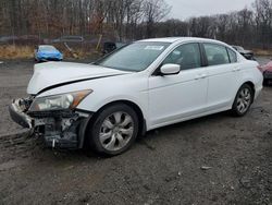 Honda salvage cars for sale: 2010 Honda Accord EXL