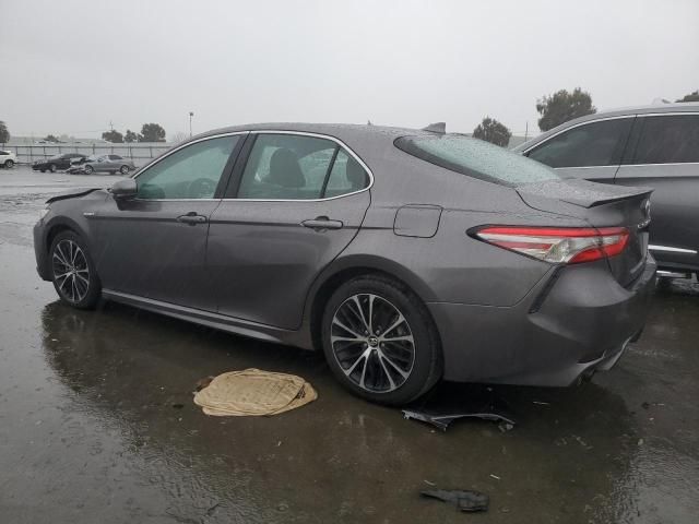 2019 Toyota Camry Hybrid