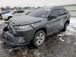 Salvage cars for sale at Pennsburg, PA auction: 2021 Toyota Rav4 XLE