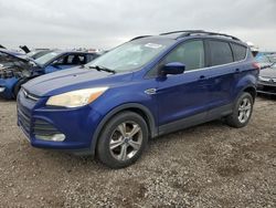 2014 Ford Escape SE en venta en Houston, TX