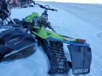 2020 Arctic Cat Riot