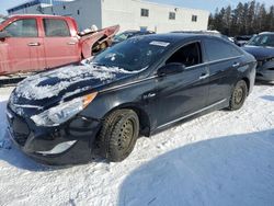 2014 Hyundai Sonata Hybrid en venta en Cookstown, ON