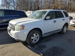 Salvage cars for sale at Glassboro, NJ auction: 2010 Ford Escape XLT