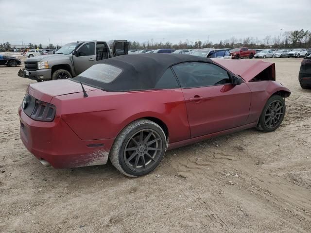 2014 Ford Mustang