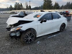 Toyota Camry salvage cars for sale: 2020 Toyota Camry SE