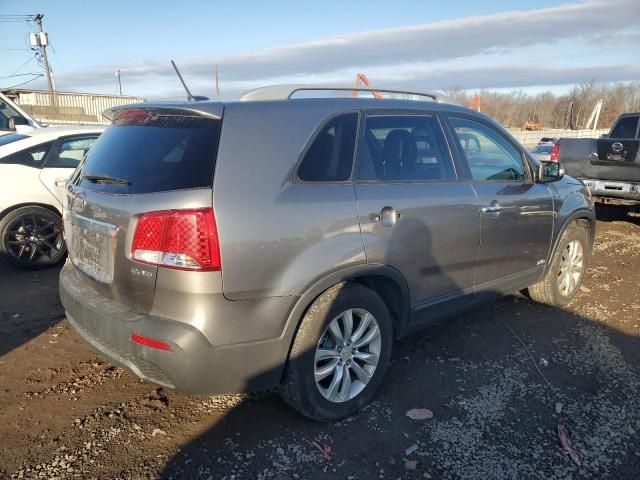 2011 KIA Sorento EX