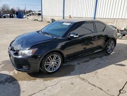 Salvage cars for sale at Lawrenceburg, KY auction: 2012 Scion TC