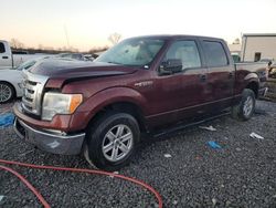 Ford f150 Supercrew Vehiculos salvage en venta: 2009 Ford F150 Supercrew