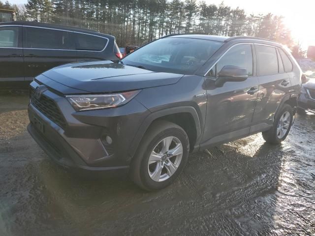 2019 Toyota Rav4 XLE