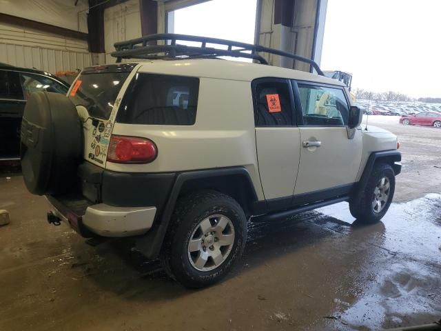 2010 Toyota FJ Cruiser