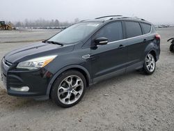 Salvage cars for sale at Lumberton, NC auction: 2014 Ford Escape Titanium