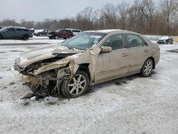 Salvage cars for sale at Ellwood City, PA auction: 2004 Honda Accord EX