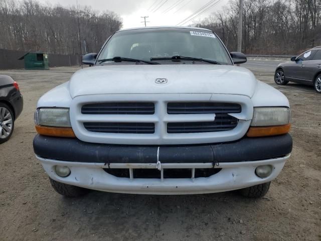 2000 Dodge Dakota