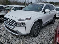 2023 Hyundai Santa FE Blue en venta en Montgomery, AL