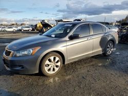 2008 Honda Accord EXL en venta en Eugene, OR