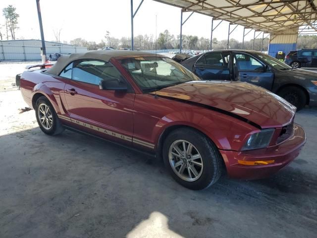 2005 Ford Mustang