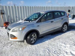 Salvage cars for sale at Albany, NY auction: 2015 Ford Escape S