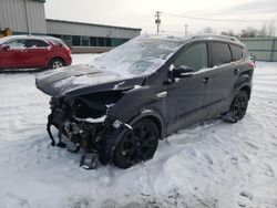 Salvage cars for sale at Leroy, NY auction: 2014 Ford Escape Titanium