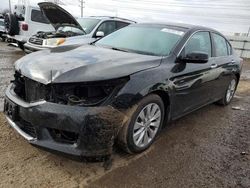 Salvage cars for sale at Elgin, IL auction: 2013 Honda Accord EX