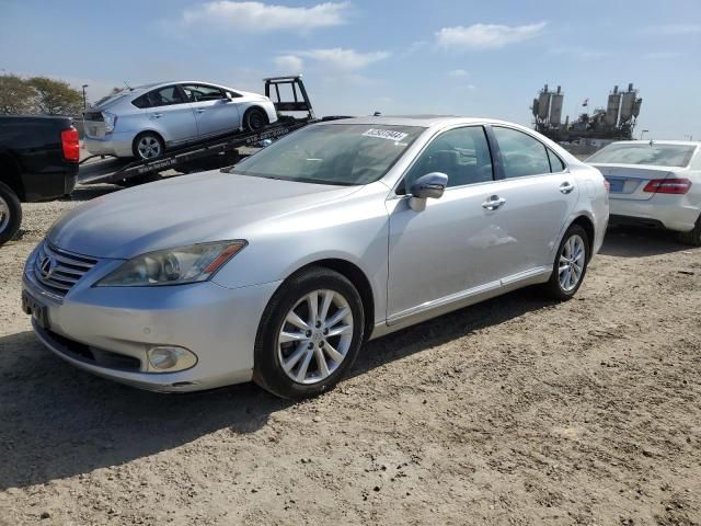 2010 Lexus ES 350