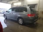 2008 Honda Odyssey EXL