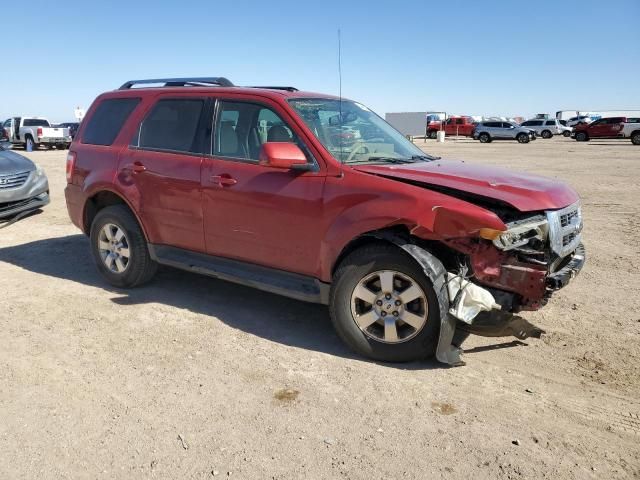 2011 Ford Escape Limited