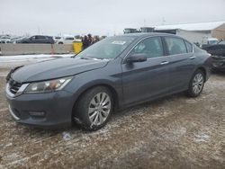 Salvage cars for sale at Brighton, CO auction: 2015 Honda Accord EX