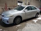 2010 Toyota Camry Hybrid