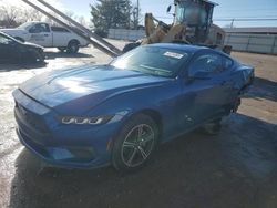 Salvage cars for sale at Lexington, KY auction: 2024 Ford Mustang