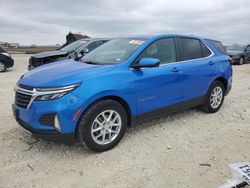 Salvage cars for sale at Taylor, TX auction: 2024 Chevrolet Equinox LT