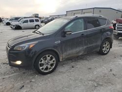 Salvage cars for sale at Wayland, MI auction: 2014 Ford Escape Titanium