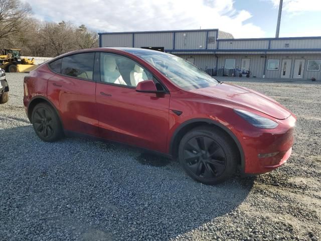 2024 Tesla Model Y