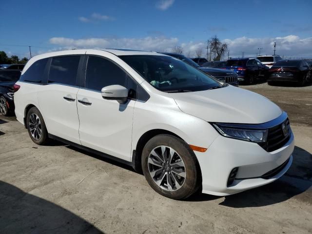 2023 Honda Odyssey EXL