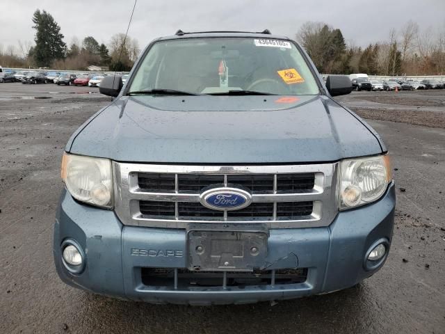 2012 Ford Escape XLT