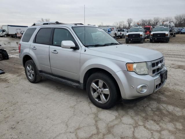 2010 Ford Escape Limited