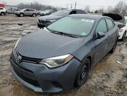 Salvage cars for sale at Hillsborough, NJ auction: 2014 Toyota Corolla L