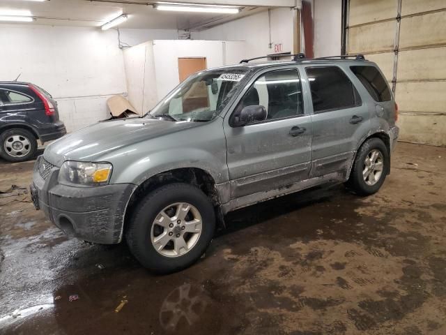 2007 Ford Escape XLT