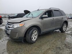 Salvage cars for sale at Antelope, CA auction: 2014 Ford Edge SEL