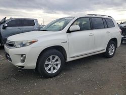 Salvage cars for sale at Eugene, OR auction: 2013 Toyota Highlander Hybrid