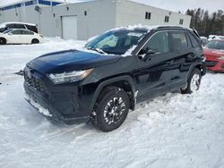 Salvage cars for sale at Cookstown, ON auction: 2024 Toyota Rav4 XLE